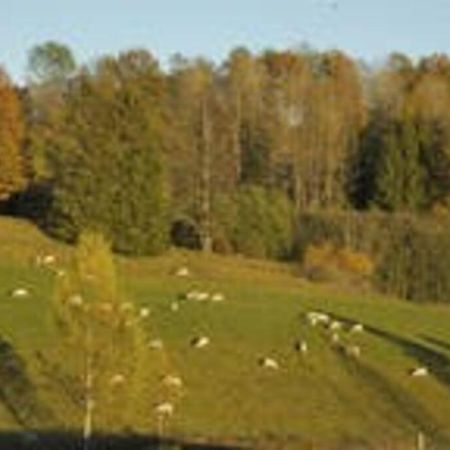 Idyllic Small Farm Appartment Тенсберг Екстер'єр фото