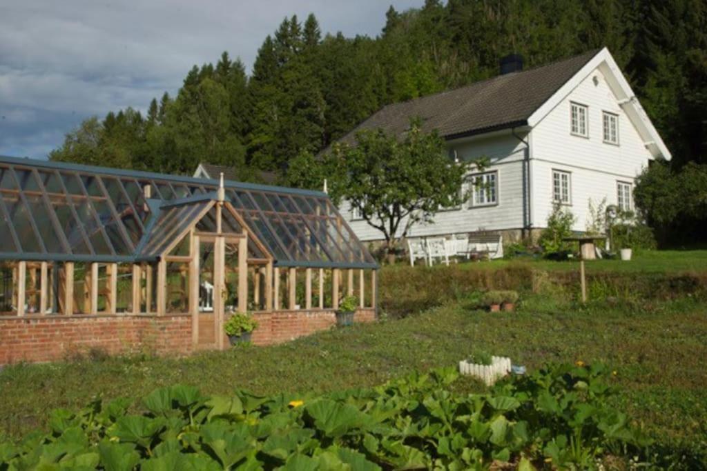 Idyllic Small Farm Appartment Тенсберг Екстер'єр фото
